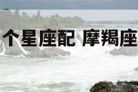 摩羯座和哪几个星座配 摩羯座和哪个星座的人最配