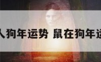 属鼠之人狗年运势 鼠在狗年运程如何