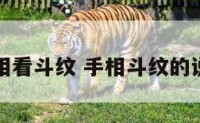 手相看斗纹 手相斗纹的说法