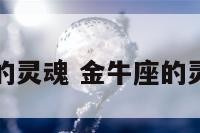 金牛座有趣的灵魂 金牛座的灵魂星座是谁