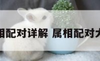 属相配对详解 属相配对大全