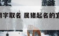 属猪宜忌用字取名 属猪起名的宜用字,忌用字