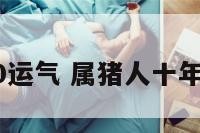 属猪2010运气 属猪人十年运势运程