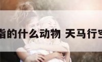 天马行空指的什么动物 天马行空是啥生肖