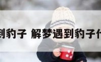 解梦遇到豹子 解梦遇到豹子什么意思