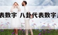 用八卦代表数字 八卦代表数字几 极速60s