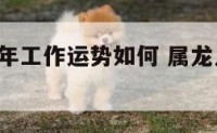 属龙人今年工作运势如何 属龙人2021年工作运势