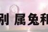属兔和属猫的区别 属兔和属猫在一起好吗