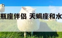天蝎座与水瓶座伴侣 天蝎座和水瓶座的婚姻怎么样
