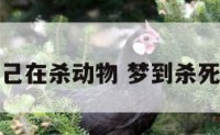 梦到自己在杀动物 梦到杀死了动物