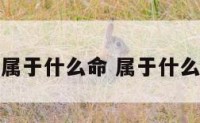 什么颜色属于什么命 属于什么颜色的人