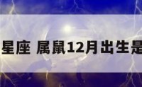 12月属鼠星座 属鼠12月出生是什么命运