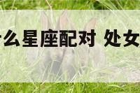 处女座男和什么星座配对 处女座男和什么星座搭配