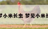 解梦小米长虫 梦见小米长虫