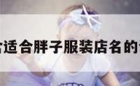 包含适合胖子服装店名的词条
