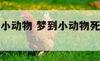 梦见不死的小动物 梦到小动物死了一只什么意思