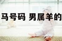 男性属羊和属马号码 男属羊的和属马的婚姻怎么样