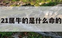 关于21属牛的是什么命的信息