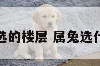 属兔能选的楼层 属兔选什么楼层