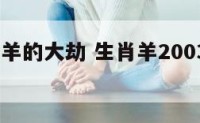 2003属羊的大劫 生肖羊2003年出生的三劫