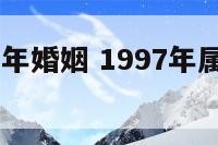 属牛1997年婚姻 1997年属牛女的婚姻