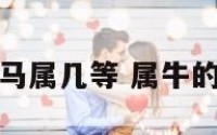 属牛和属马属几等 属牛的与属马的