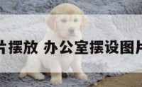 办公室图片摆放 办公室摆设图片大全温馨