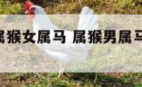 967年男属猴女属马 属猴男属马女婚姻状况