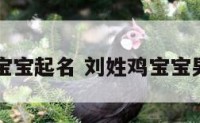 刘姓鸡宝宝起名 刘姓鸡宝宝男孩取名