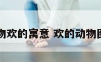 动物欢的寓意 欢的动物图片