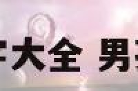 高分独特男孩名字大全 男孩名字响亮独特的