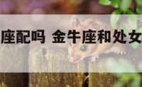 金牛和处女座配吗 金牛座和处女座相配几率多少