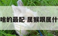 属猴跟属啥的最配 属猴跟属什么最相配