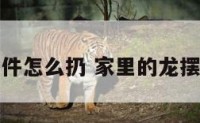 家里的龙摆件怎么扔 家里的龙摆件怎么扔掉