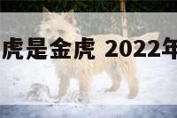 2022年属虎是金虎 2022年虎是金还是水