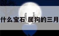 属狗三月戴什么宝石 属狗的三月份出生好吗