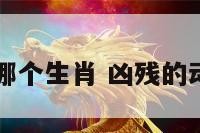 凶残动物是哪个生肖 凶残的动物指一生肖