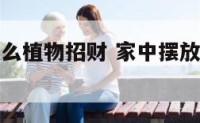 家里摆放什么植物招财 家中摆放什么招财植物