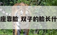 双子座靠脸 双子的脸长什么样