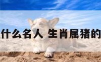 生肖属猪有什么名人 生肖属猪的名人有哪些