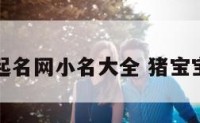 猪宝宝起名网小名大全 猪宝宝小名字