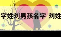 给宝宝起名字姓刘男孩名字 刘姓男宝宝取名大全2021