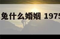 1975年属兔什么婚姻 1975年属兔什么婚姻好