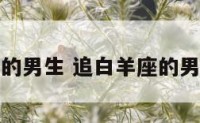 追白羊座的男生 追白羊座的男生好追吗