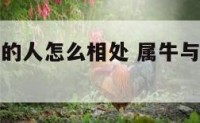 属牛和属马的人怎么相处 属牛与属马的人怎么相处