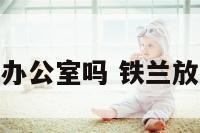 铁兰花适合放办公室吗 铁兰放在家里好不好