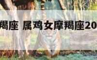 属鸡女摩羯座 属鸡女摩羯座2024年全年运程
