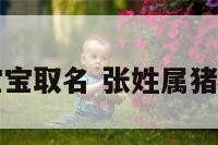 张姓属猪女宝宝取名 张姓属猪女宝宝取名字