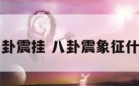 八卦震挂 八卦震象征什么