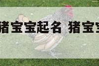农历11月份猪宝宝起名 猪宝宝农历十一月哪一天最好